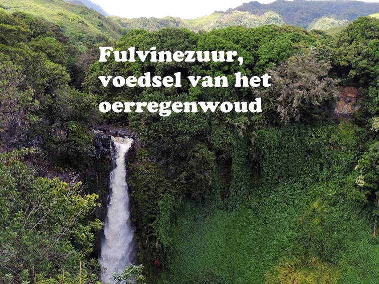Fulvinezuur, let op de kwaliteit!